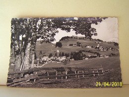 OBERIBERG (SUISSE) LES ARBRES. - Oberiberg