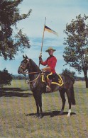 Métiers - Police Gendarmerie - Uniforme Policier à Cheval- Police Montée Canada - Police - Gendarmerie