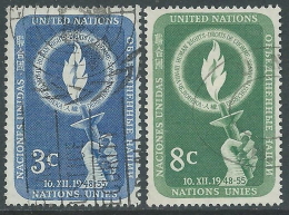 1955 NAZIONI UNITE NEW YORK USATO GIORNATA DEI DIRITTI DELL'UOMO - Z15-5 - Used Stamps