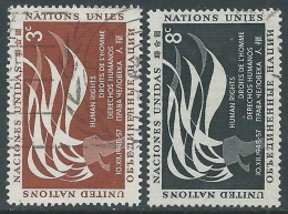 1957 NAZIONI UNITE NEW YORK USATO GIORNATA DEI DIRITTI DELL'UOMO - Z18-3 - Used Stamps