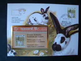 Schweiz, Telefonkartenbrief  "Kaninchen" !! - Cartas