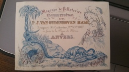 Carte Porcelaine (Porseleinkaart) - Anvers (Antwerpen) - P.J Van Oudenhoven Hase - Magasin De Pelleteries - Porzellan