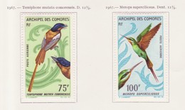 Comores - Comoros - Komoren Poste Aérienne 1967 Y&Tn°PA20 à 21 - Michel N°F83 à 84 * - Oiseaux - Posta Aerea