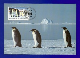 BAT 1992  Mi.Nr. 196 , Emperor Penguin - WWF Maximum Card - First Day 20.OCT 92 - Tarjetas – Máxima