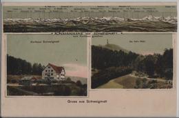 Gruss Aus Schweigmatt - Alpenpanorama Von Schweigmatt - Kurhaus Schweigmatt - Die Hohe Möhre - Schopfheim