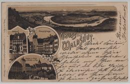 Gruss Aus Waldshut - Rathaus, Hauptstrasse, Brücke, Thor - Lithographie Litho - Waldshut-Tiengen