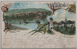 Gruss Aus Waldshut - Partie Am Rhein, Thor, Von Süden - Lithographie Litho - Waldshut-Tiengen