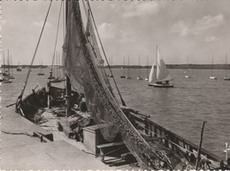 Delcampe - 14 - DIVES SUR MER - Le Port - Dives