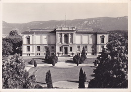 CPSM - SOLOTHURN - Museum - Suisse - GF. - Sonstige & Ohne Zuordnung