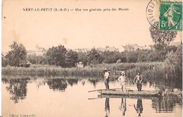 VERT-LE-PETIT    Une Vue Générale,prise Des Marais(BARQUE OCCUPÉE) - Vert-le-Petit