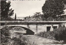 Bouches Du Rhone : PELISSANNE : La Touloubre ( Cpsm Photo Vérit.) Déchirure Haut Gauche - Pelissanne