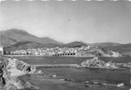 66-BANYLS-SUR-MER-  VUE PANORAMIQUE SUR LA RADE - Banyuls Sur Mer