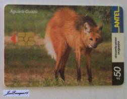 TC 250a ZORRO AGUARA GUAZU. CHRYSOCYON BRACHYURUS. URUGUAY, ANTEL. FOX - Uruguay