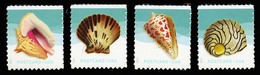 Etats-Unis / United States (Scott No.5163-6 - Shells) [**] - Unused Stamps