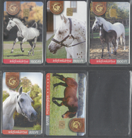 Hungary, Horses, Set Of 5 Cards, 2001-2003. - Horses