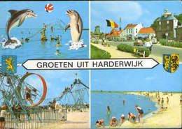 Netherlands - Postcard Unused  - Harderwijk -   Collage Of Images - Harderwijk