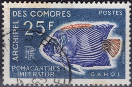 COMORES Poste  48 (o) Poisson Exotique Pomancanthus Imperator Ange De Mer Poisson Empereur (CV 5 €) - Used Stamps