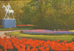 Netherlands - Postcard Unused  -  Lisse - Keukenhof Park - Lisse