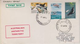 AAT Casey Ca 21 Ja 76 Cover (38415) - Storia Postale