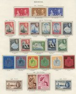 BERMUDA 1937-49 Incl. 1938 Defin Set UM (extra 10s (SG.119) Heavily Toned Gum) Odd Lower Value Toned, 1948 Wedding UM Et - Other & Unclassified