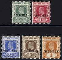 1902-03 CCA Set Optd SPECIMEN, Part O.g. ½d Couple Pulled Perfs, SG.3s/7s. (5) Cat. £250 - Other & Unclassified