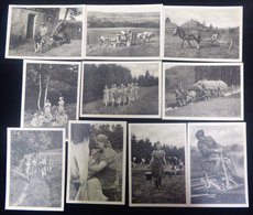 1930's PPC's Of Hitler's Youth - Ten Photographic Unused Cards Depicting Hitler Youth Working On Farms. - Other & Unclassified