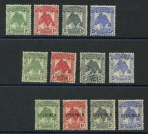 1911 Pandanus Pine Set M, Another FU & Another Optd SPECIMEN, SG.9/11, 9s/11s. (12) Cat. £250 - Altri & Non Classificati