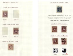 1900-01 Surcharges On Small Hermes Heads Collection On Leaves With Athens Print 20l On 25l Imperf & Perf M (43) - Incl.  - Altri & Non Classificati
