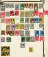 1895-1948 M & U Duplicated Ranges On Leaves (approx 500 Stamps) ST.Cat. £1200 - Autres & Non Classés