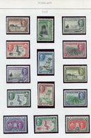 1934-64 M Collection On Leaves Incl. 1934 Set 3s Jubilee Set, 1945 Defin Set, 1963 Defin Set UM, 1964 Defin Set UM Incl. - Altri & Non Classificati