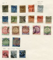 1892-1978 Chiefly U Collection On Leaves Incl. 1892 ½d, 6d U, 1s M, 2s U, 1892-94 Vals To 8d U, 4s M, 1896-96 Vals To 4s - Altri & Non Classificati
