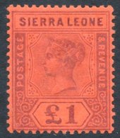 1896 CCC £1 Purple/red, Fresh M, SG.53. (1) Cat. £325 - Altri & Non Classificati