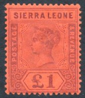 1896 CCC £1 Purple/red, Fresh M, SG.53. (1) Cat. £325 - Other & Unclassified