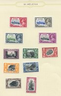 1935-67 Fine M Collection On Leaves Incl. 1934 Centenary Set (excl. 6d) To 2/6d, 1935 Jubilee Set, 1938-44 KGVI Defin Se - Autres & Non Classés