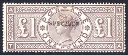 1884 Wmk Crowns £1 Brown Lilac TA With Frame Unbroken, Optd SPECIMEN Type 9, Fine M Example. Spec.K15taa. Cat. £3500 - Other & Unclassified