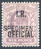 I.R.OFFICIAL 1902 6d Pale Dull Purple, Very Fine Fresh UM Of This, The Rarest Of All The Departmental Issues, Overprinte - Other & Unclassified