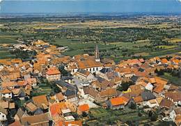 67-KINSZHEIM- VUE AERIENNE - Sonstige & Ohne Zuordnung