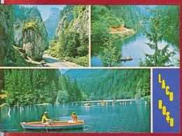 TOURISM LACUL ROSU VUE MOUNTAINS RESORT ROMANIA POSTAL STATIONERY - Hotel- & Gaststättengewerbe