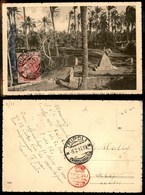 1878 COLONIE - LIBIA - STORIA POSTALE - 10 Cent Croce Rossa (13) - Cartolina Da Tripoli A Zurigo Del 9.2.17 - Censure (1 - Other & Unclassified