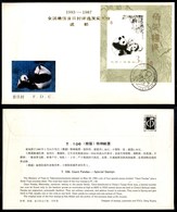 2788 TEMATICA - FLORA E FAUNA - Cina - Giant Pandas - FDC 24.5.1985 - Other & Unclassified