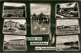 42810218 Rheinfelden Baden Panorama Schwaene Rheinpartie Stadtgarten Friedrichsp - Rheinfelden