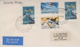 AAT 1975 Davis Cover Ca 31 De 75 (38463) - Lettres & Documents