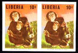 Liberia (1966) Baby Chimpanzees. Imperforate Pair.  Scott No 454, Yvert No 432. - Chimpancés