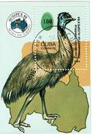 Cuba , 1984 , Ostrich , Ema , Sheet , Ausipex 84 , Obliterated - Straussen- Und Laufvögel
