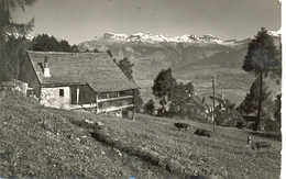 Postal Suiza. Escena De Campo. Matasellos 1957. Ref. 7-3ay110 - Campo