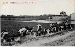 CPA Espagne SPAIN Valencia Métier Plantation De Arroz Non Circulé - Autres & Non Classés