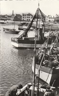 Finistère : LESCONIL : Dans  Le Port : Cpsm Photo Vérit. Petit Format - Lesconil