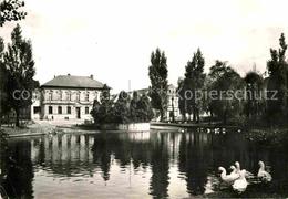 72854698 Chotetov Seepartie Tschechische Republik - Günzburg