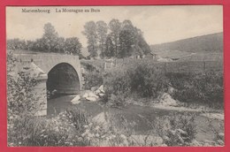 Mariembourg - La Montagne Au Buis -1910 ( Voir Verso) - Couvin