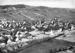 68-SIGOLSHEIM- VUE PANORAMIQUE - Other & Unclassified